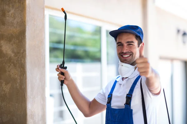 Cincinnati Wasp Removal