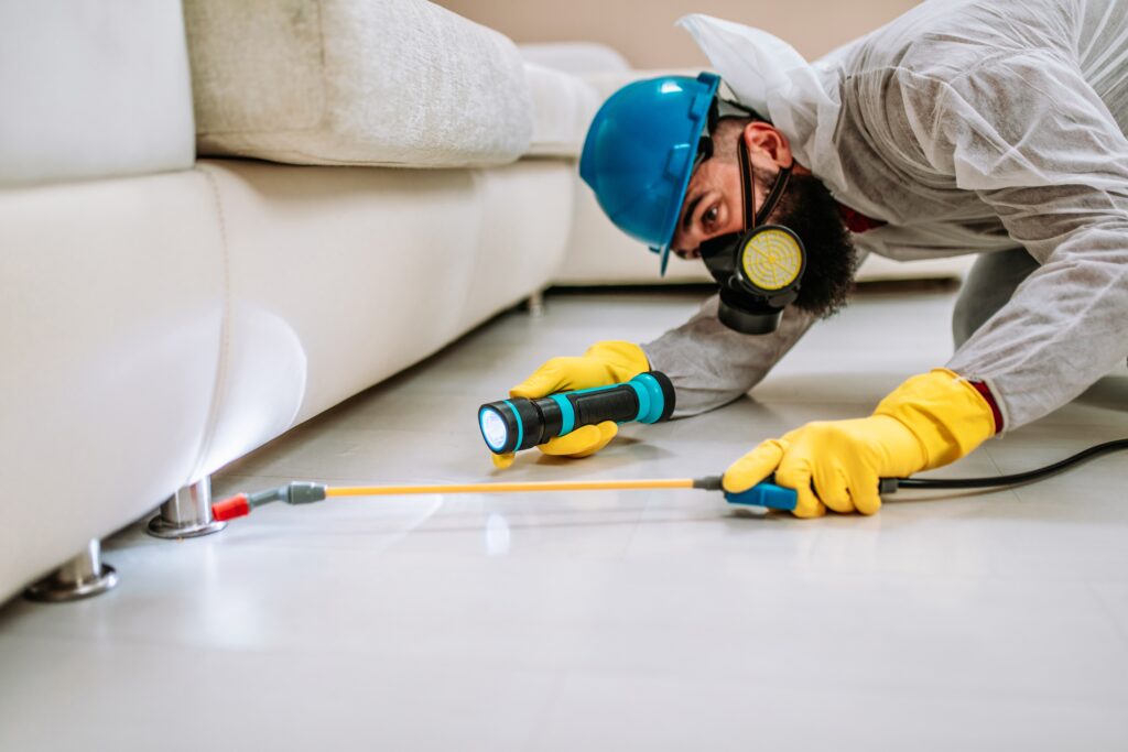 Cincinnati Termite Control