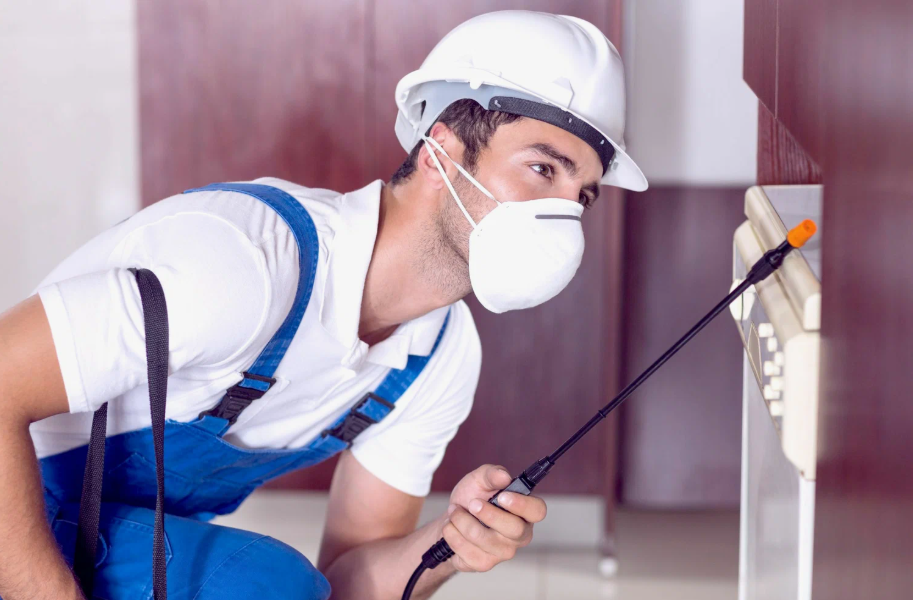 Cincinnati local pest services